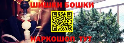 амф Новозыбков