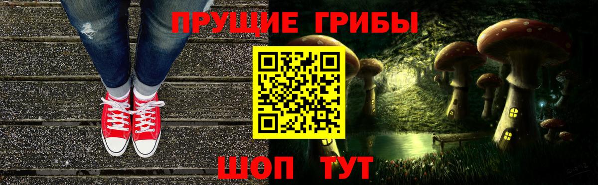 Сокол  Псилоцибиновые грибы мицелий  Вход с VPN 