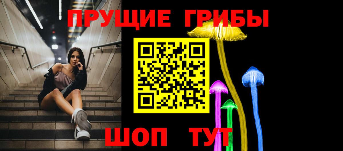 Галлюциногенные грибы прущие грибы Сокол